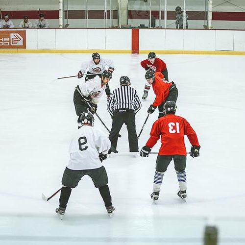 people playing hockey on ice arena